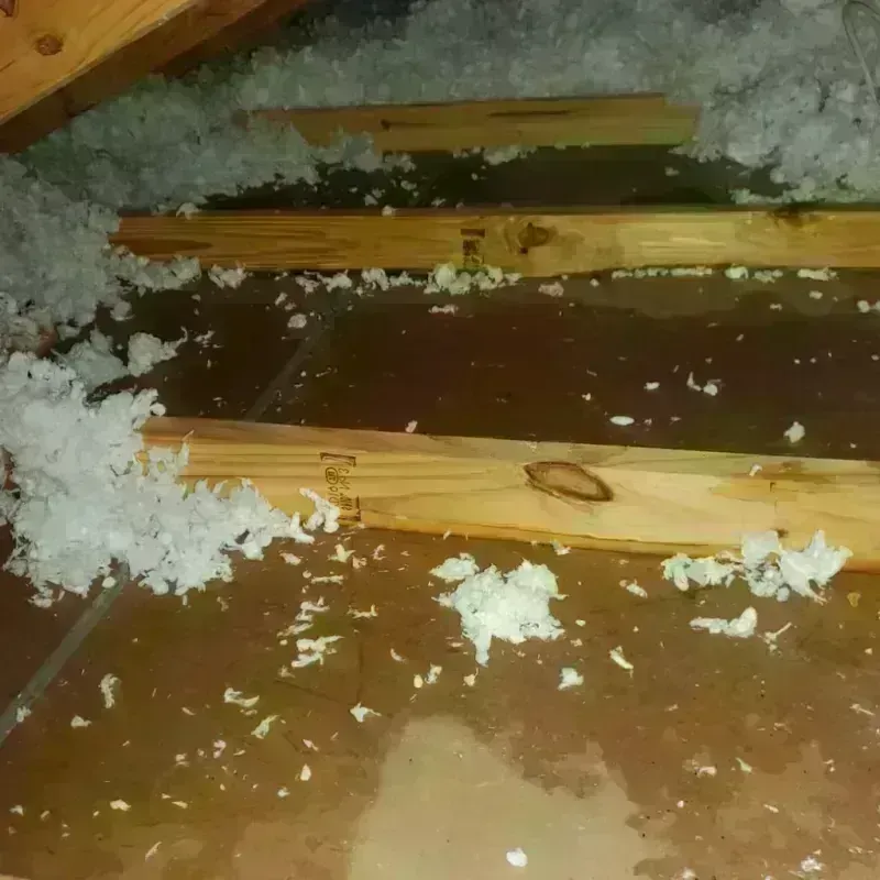 Attic Water Damage in Mohall, ND