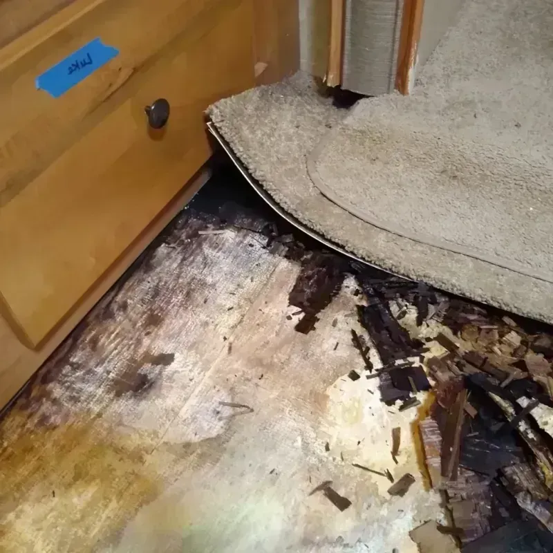 Best Wood Floor Water Damage Service in Mohall, ND